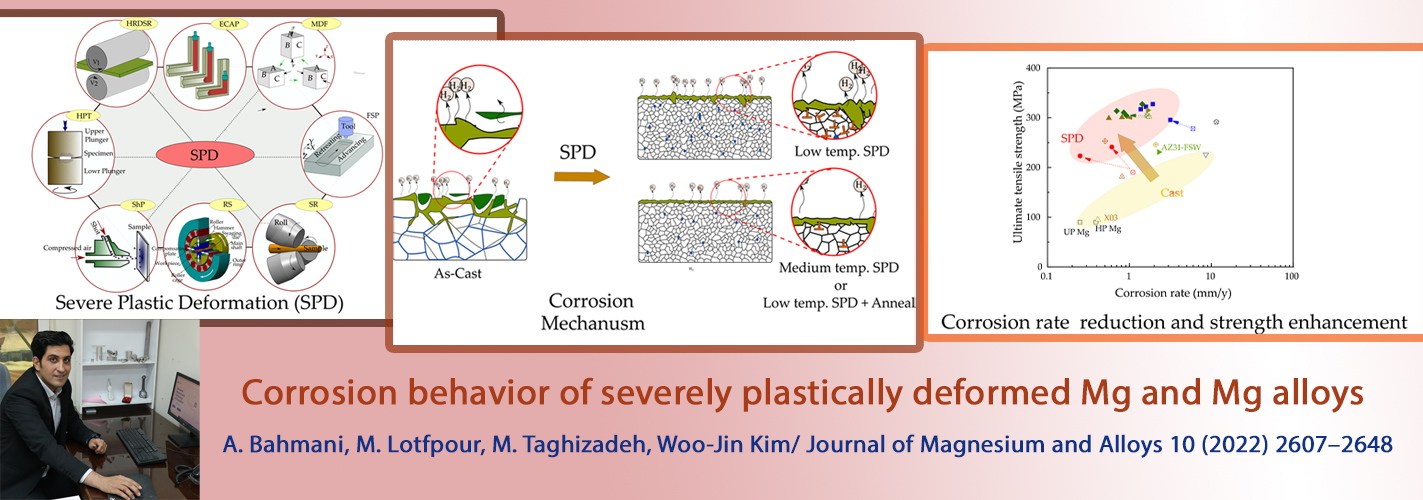 Corrosion behavior of severely plastically deformed Mg and Mg alloys