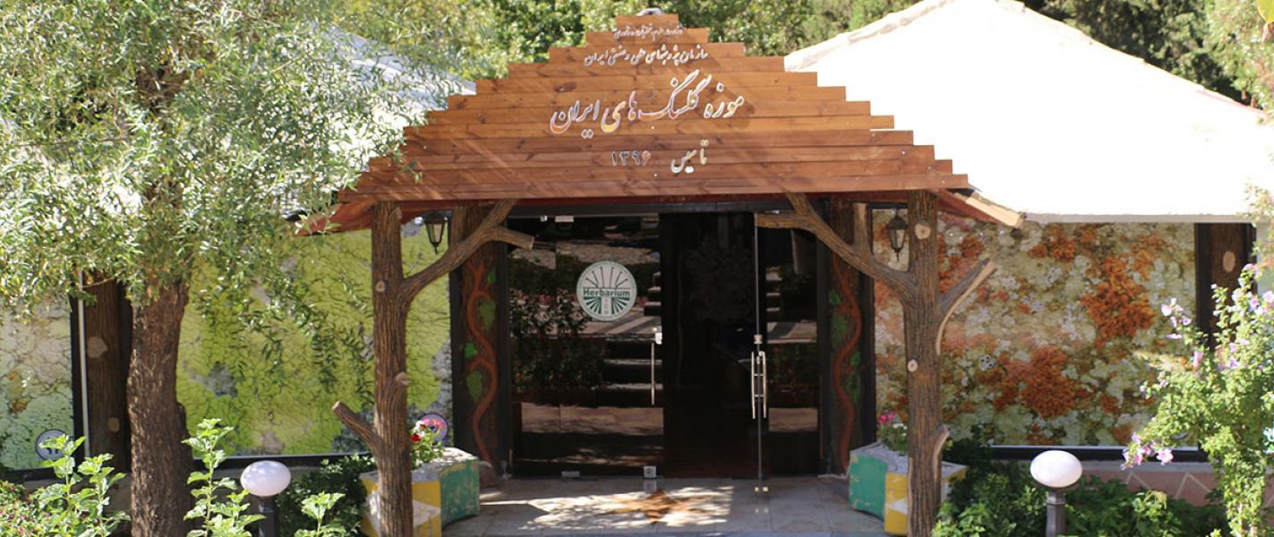 موزه گلسنگ های ایران